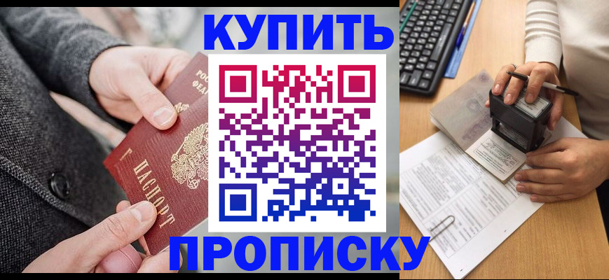 временная регистрация надежно в Бийске